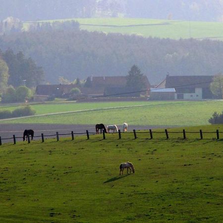 Апартаменти Haus Hollerbusch Нойнбург-форм-Вальд Екстер'єр фото
